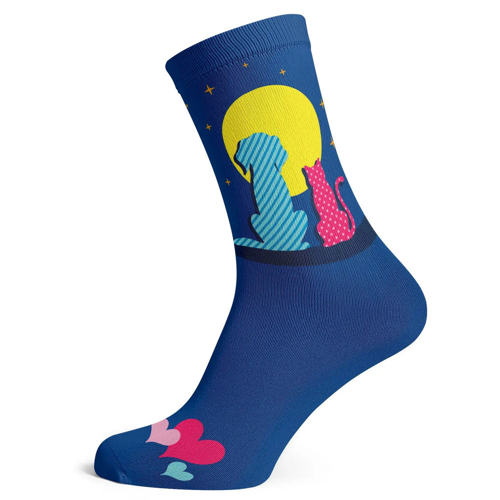X20  Cat and Dog Love Socks One Size